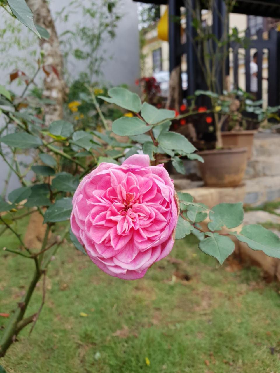Sapa Charming Homestay Exteriér fotografie