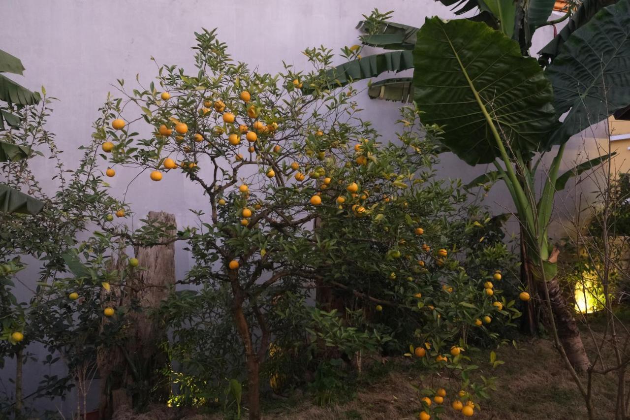 Sapa Charming Homestay Exteriér fotografie